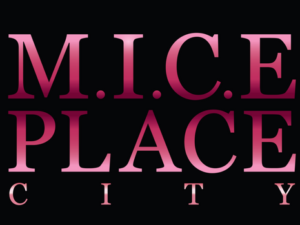 Mice Place City " 2h de Paris"