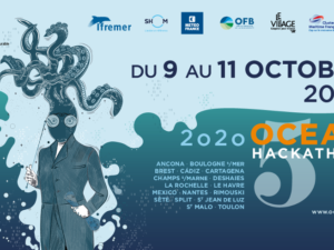 Ocean Hackathon 2020!