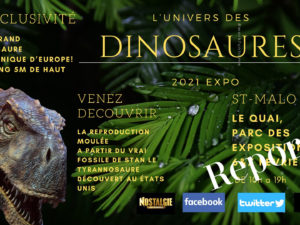 L' Univers des Dinosaures